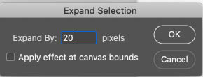 expand selection in Photoshop