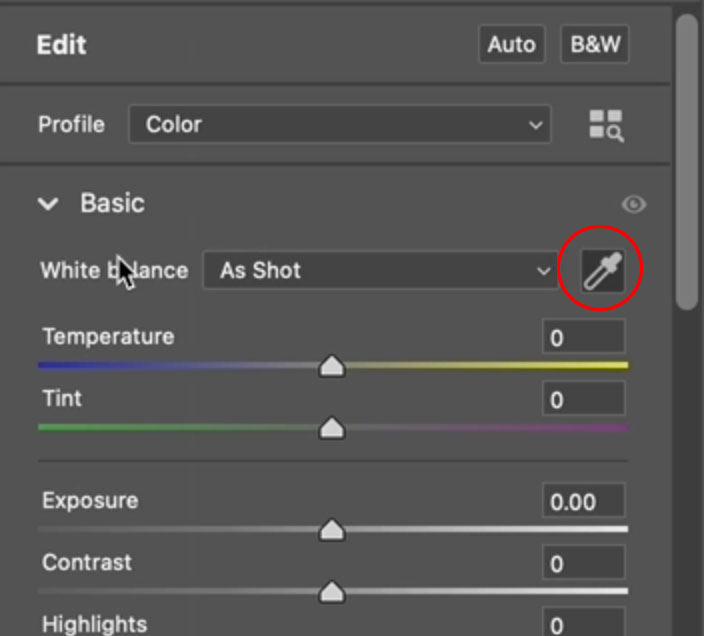 custom white balance in camera raw