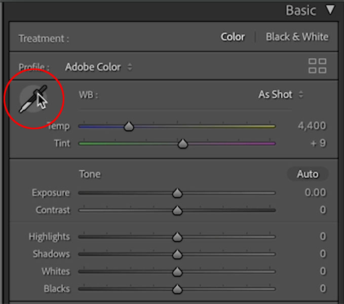 white balance in Lightroom